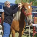Brenda Peck