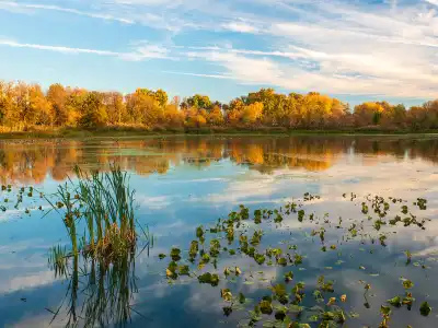 Exton, PA Insurance Office