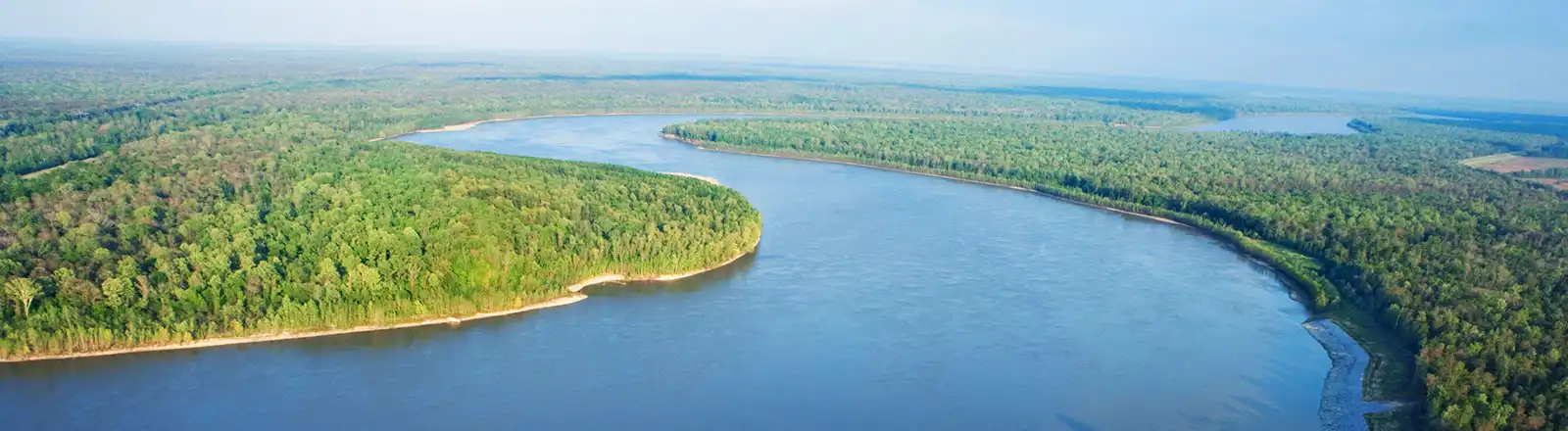 About Us - Risk Services of Louisiana