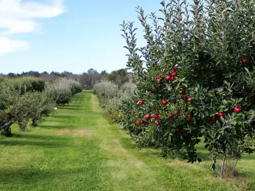 Contact Us Lower Valley Brokers Insurance Agency