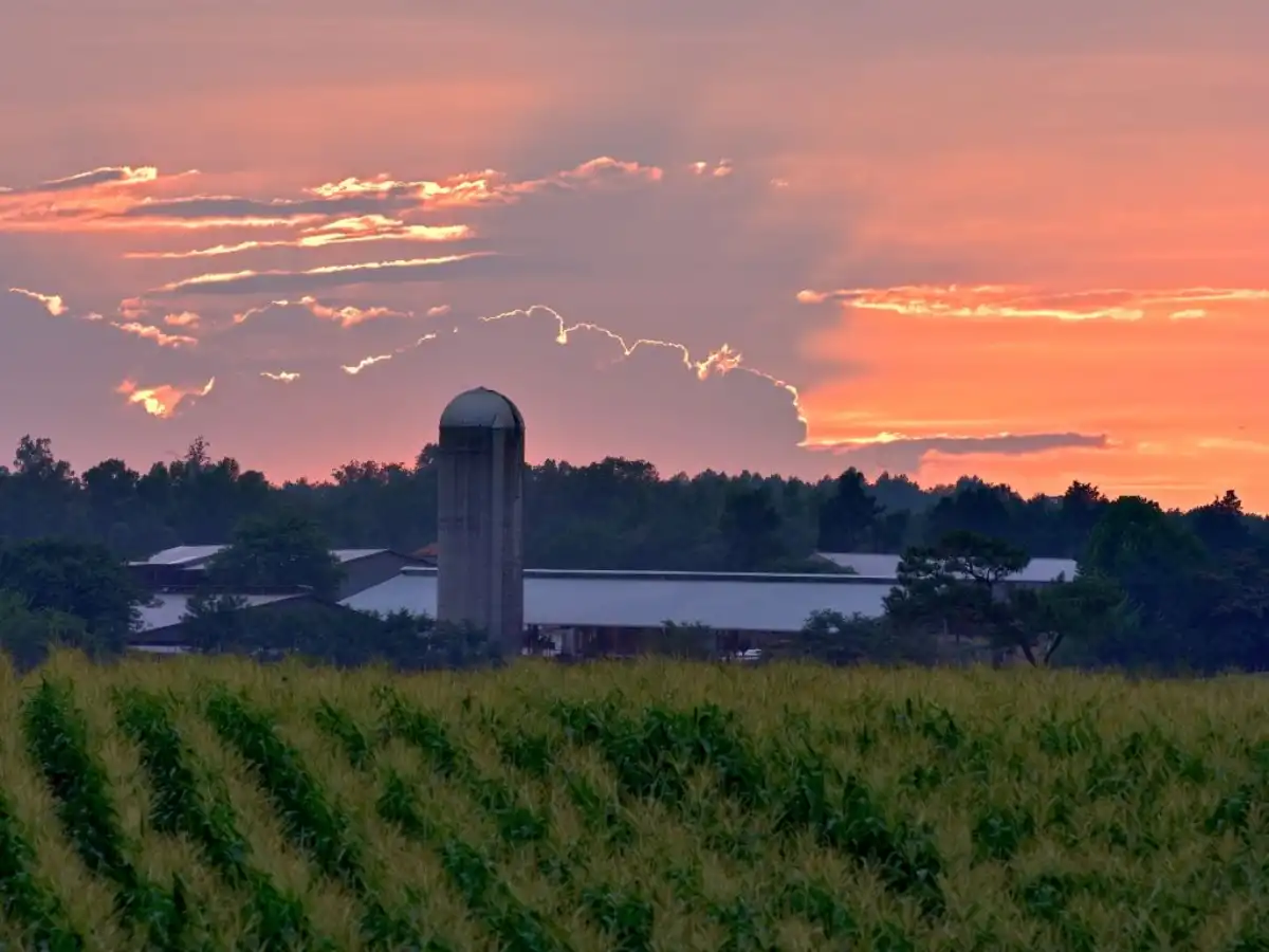 Insurance Agency Near Me Shelby, NC Leavitt Elite Insurance Advisors