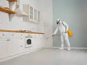 How Much Does Pest Control Business Insurance Cost?
