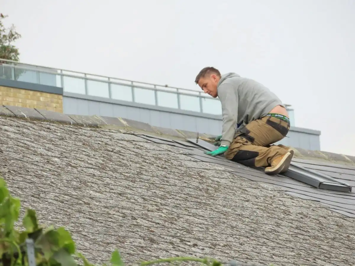 Blog What You Need to Know About Roofing and Insurance Coverage