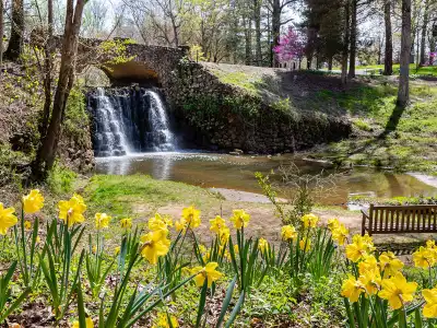 Winston Salem, NC Insurance Office