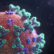 COVID-19 Resource Center