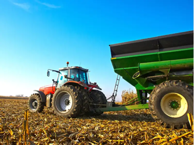 Agribusiness Practice