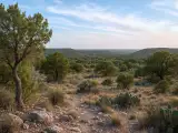 Ozona, TX Email Form