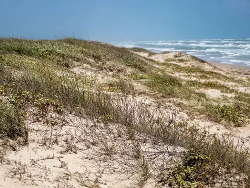 Corpus Christi, TX Photo