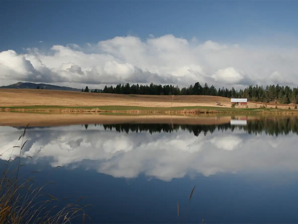 Insurance Agency Near Me Rigby, ID Leavitt Select Insurance Services