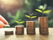 Multifamily Insurance Strategy: How Captive Renters Insurance Can Increase NOI