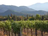 Medford, OR Email Form