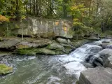 Cullman, AL Email Form