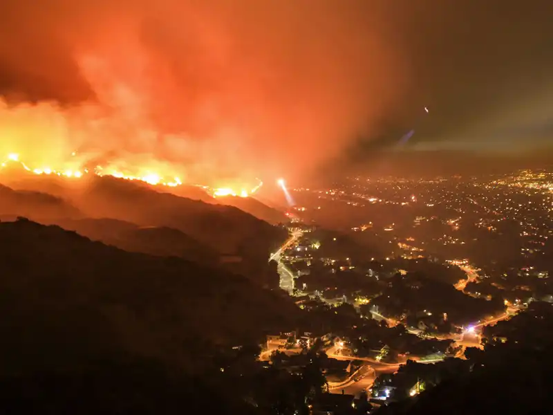 Blog Wildfire Preparedness Guide for Businesses