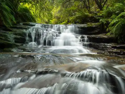Albertville, AL Insurance Office