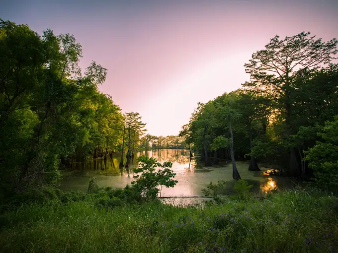 Risk Services of Louisiana Featured Image