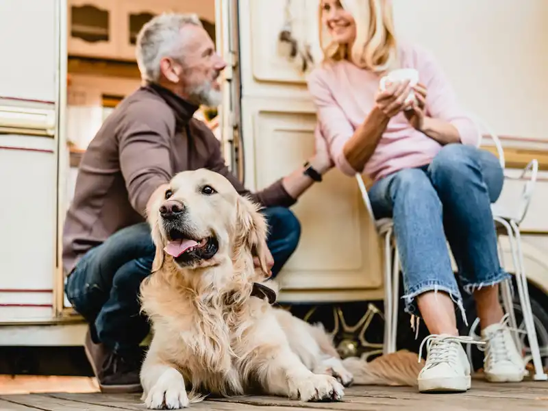 Medicare Supplement Planning