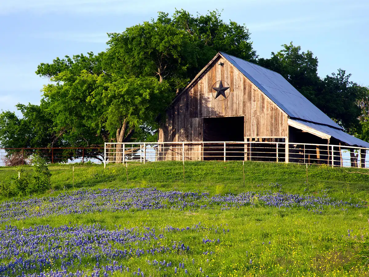 Blog Liability, Property, and Asset Protection for Farms and Ranches