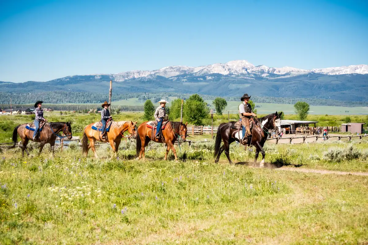 Blog Montana Farm & Ranch Insurance: 7 Coverage Gaps That Show Up After the Loss