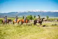 Featured Image for Montana Farm & Ranch Insurance: 7 Coverage Gaps That Show Up After the Loss