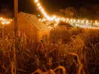 Corn Maze Insurance