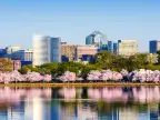 Specialty Insurance Programs