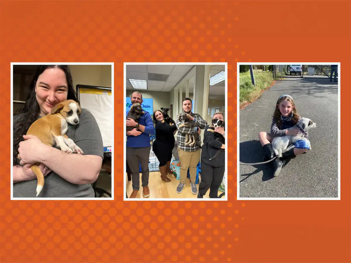 Blog How McClain Insurance Raised Over $11,000 for a Local Shelter — One Litter at a Time